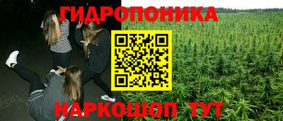 наркотики Будённовск
